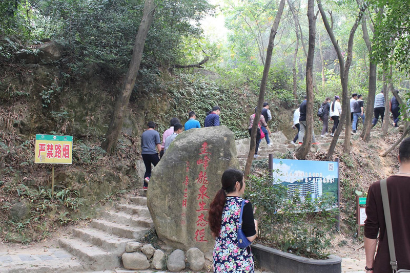 我公司組織員工旅游活動(dòng)(圖1)